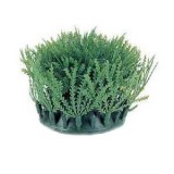 Мох фонтиналис 5см (2шт), растение пластиковое "коврик" Marina® (под заказ от 1 до 4 недель)