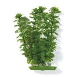Амбулия 50см, растение пластиковое зеленое Marina® (под заказ от 1 до 4 недель)